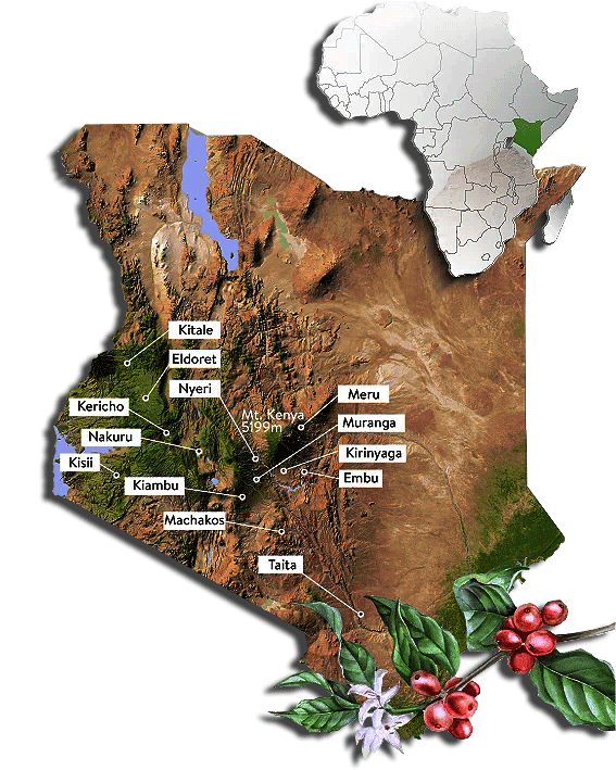 Sourced from the Mt. Kenya Region